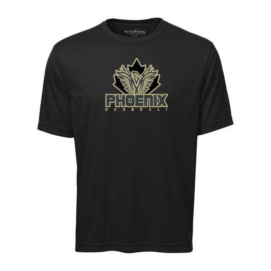 Phoenix Dri-Fit Tee